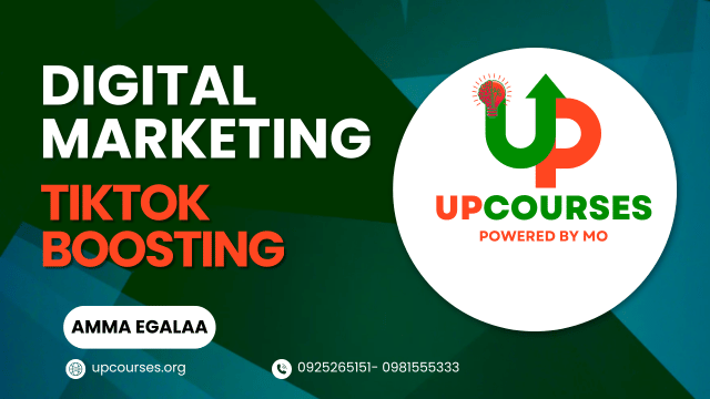 Tik Tok for Digital Marketing (Boosting)