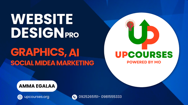 Website Design Professional